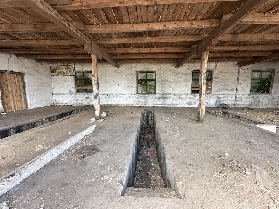 ‼️Продам Ангар, Зерносховище, Склад, с Липовець, Обухівський, Кагарлик