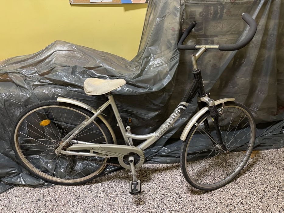 Niemiecki rower miejski Pegasus