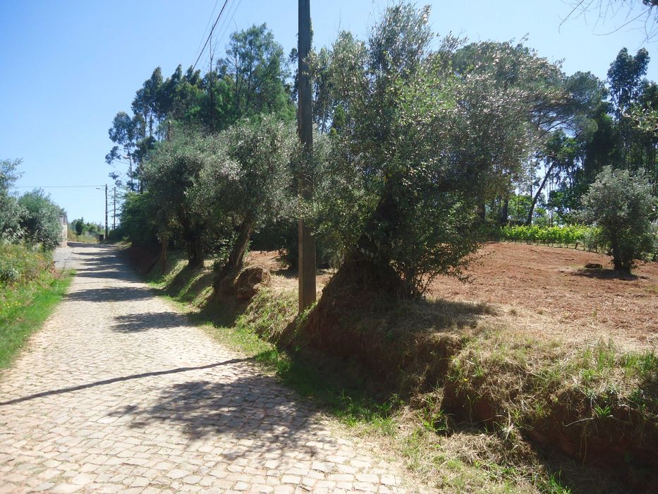 Terreno urbano excelente localização