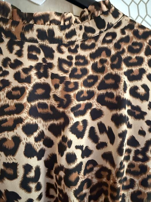 Sukienka w panterke Brandenburg