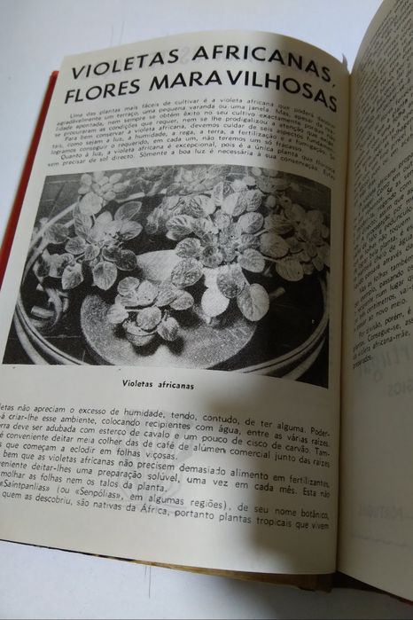 Agenda do Lar Para 1966