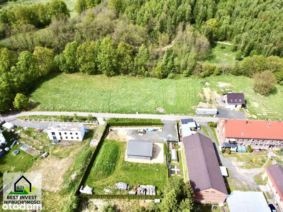 Działka z widokiem na góry otoczona lasem - View 6