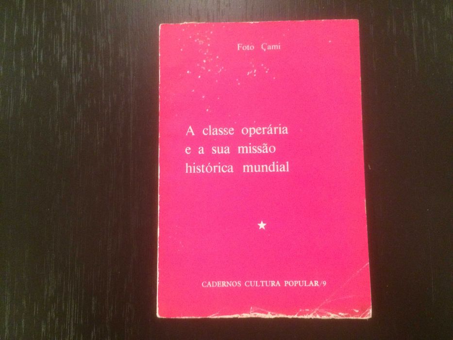 A classe operária e a sua luta histórica mundial