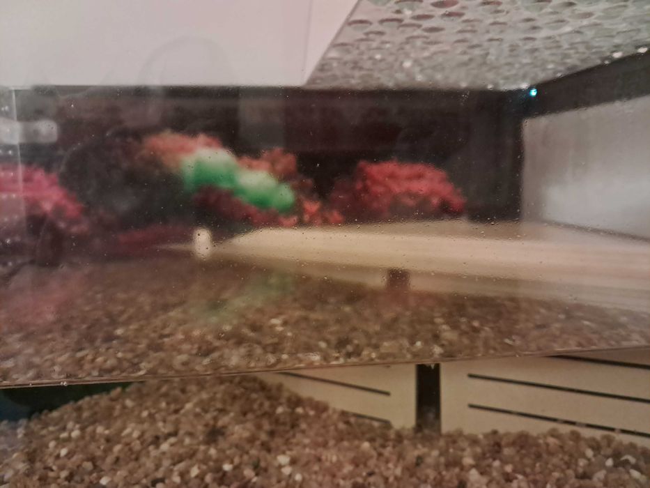 Vendo terrario como novo (2 anos de uso) para tartarugas da Terratlantis.