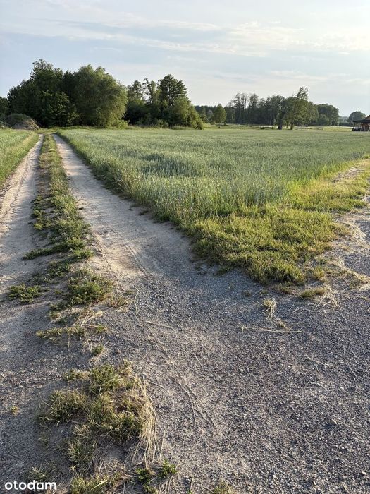 Działka rolna z możliwością zabudowy siedliskowej, Parole gm. Nadarzyn - Widok 5