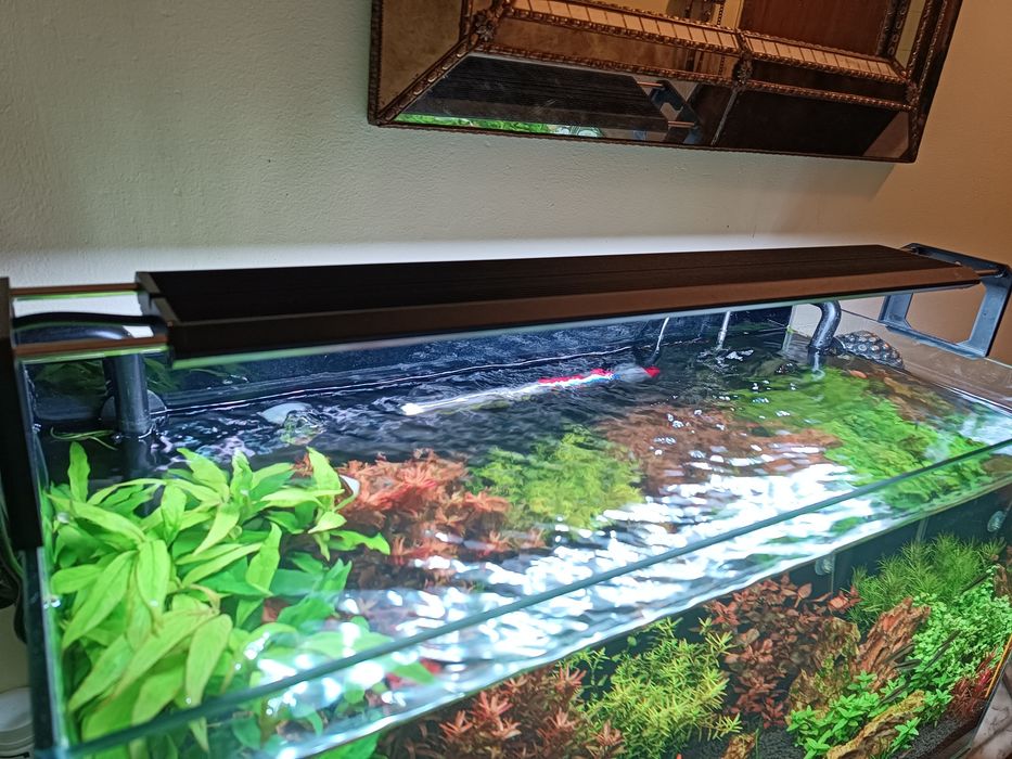 Led aquário Week Aqua serie V 600 se-k