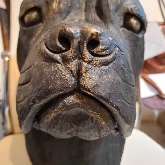 Cane corso rzeźbiona głowa
