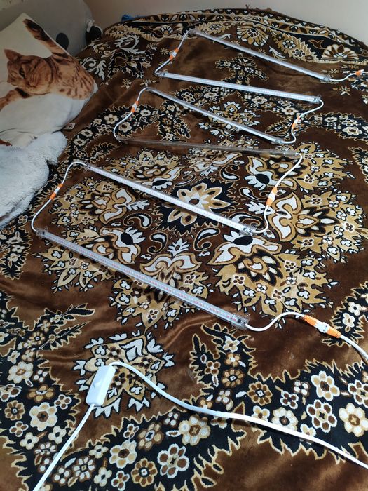 Фітолампа для рослин повний спектр Фитолампа