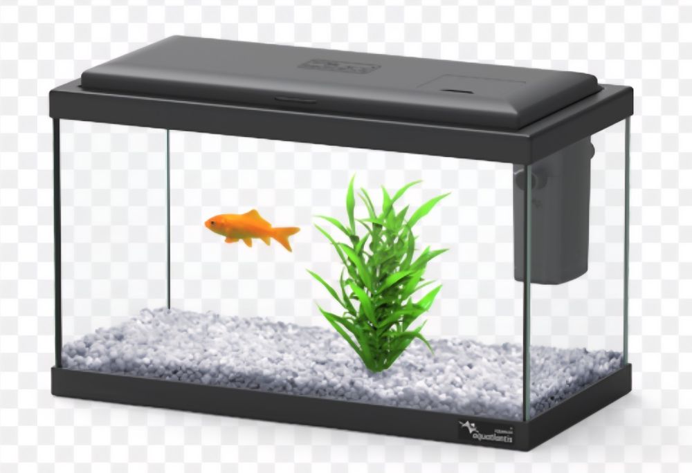 Aquários de diferentes tamanhos e modelos