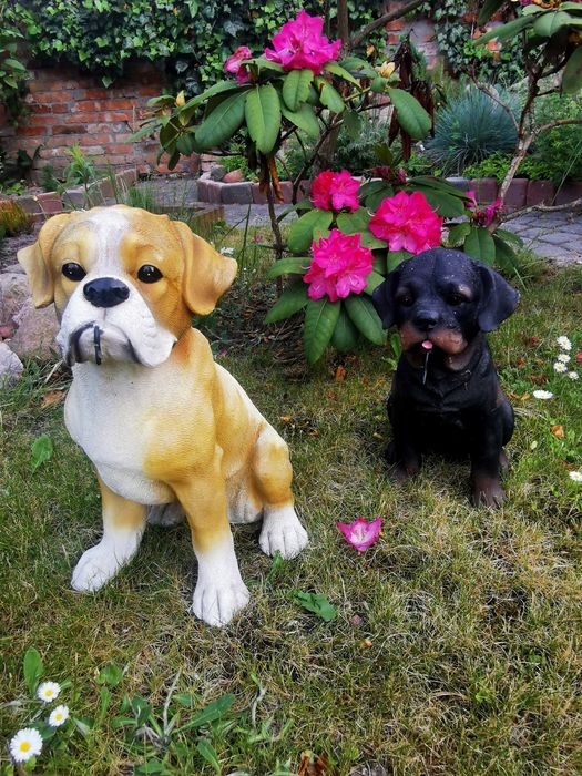 Figurki ogrodowe Psy Bokser i Rottweiler z haczykami – solidne 30 i 40cm