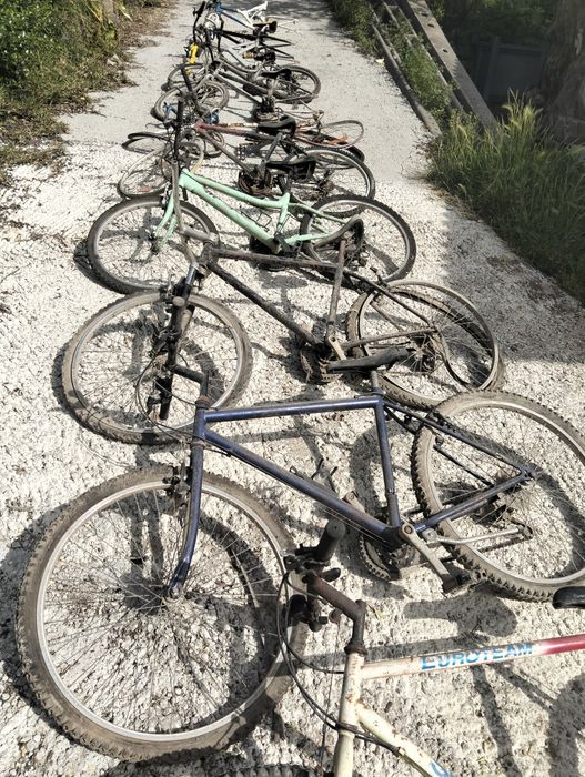Lote de 14 bicicleta
