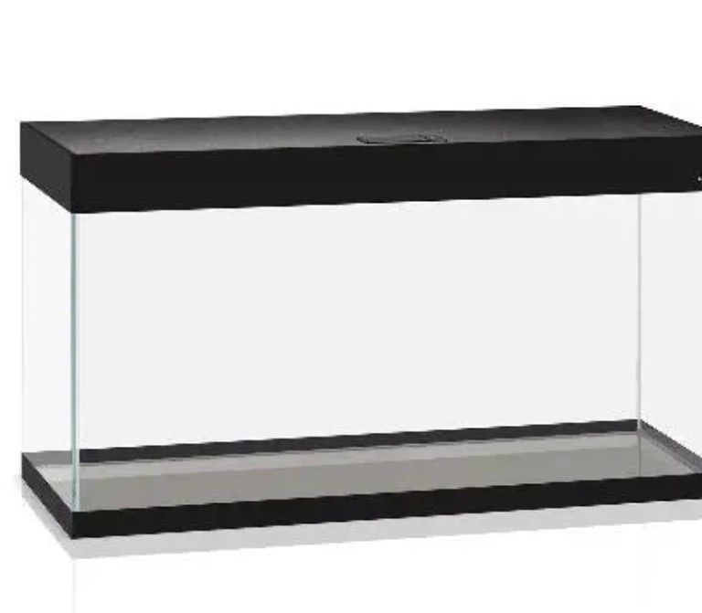 Aquário 
Lâmpada,etc.