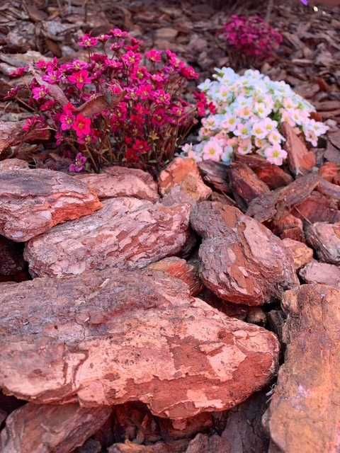 Kora Sosnowa Sortowana ,Wrocław okolice z dostawą