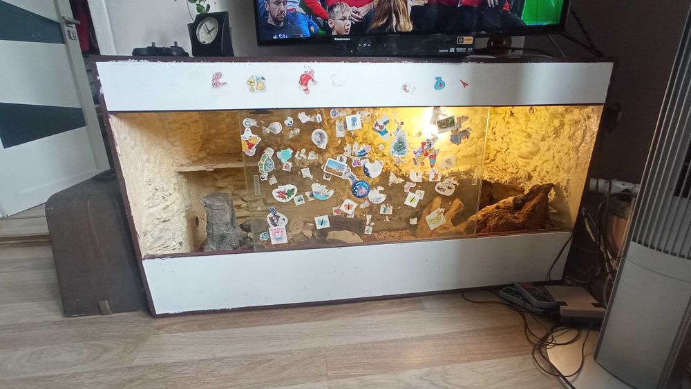 Terrarium pełne wyposażenie