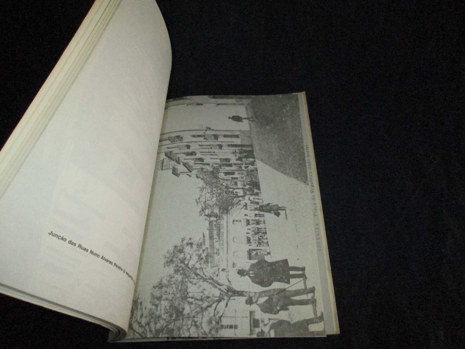 Livro Toponímia Abrantina Eduardo M. T. Campos