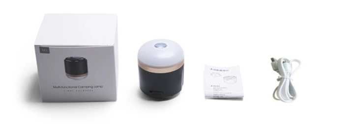 EcoFlow LED-лампа/ліхтар на аккумуляторах