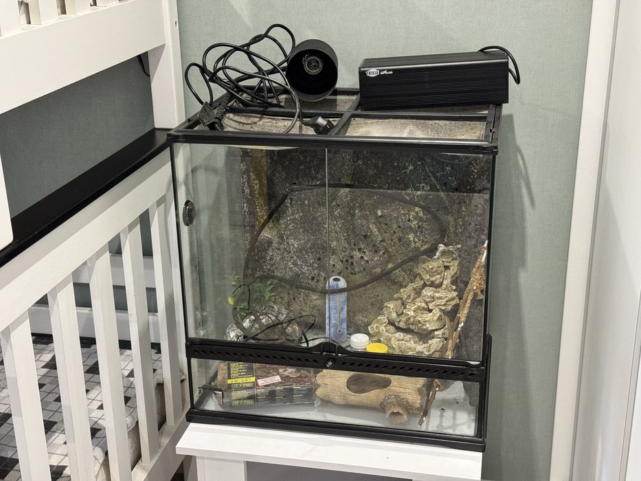 Тераріум 60*45*60 см. З усім необхідним, 11500 грн