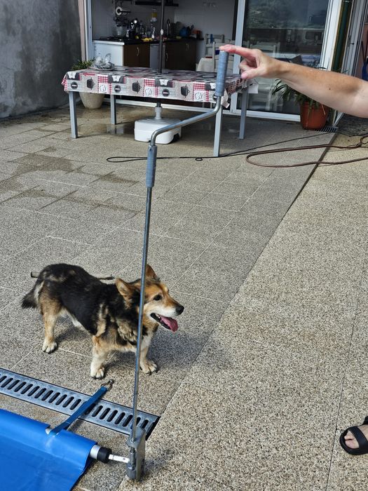 Cobertura de piscina em bom estado (apenas 6 mês de uso) para piscina 3×6 metros