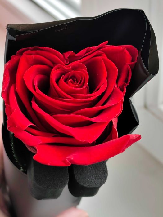 Стабілізована преміум-троянда 30 см х 5 см.