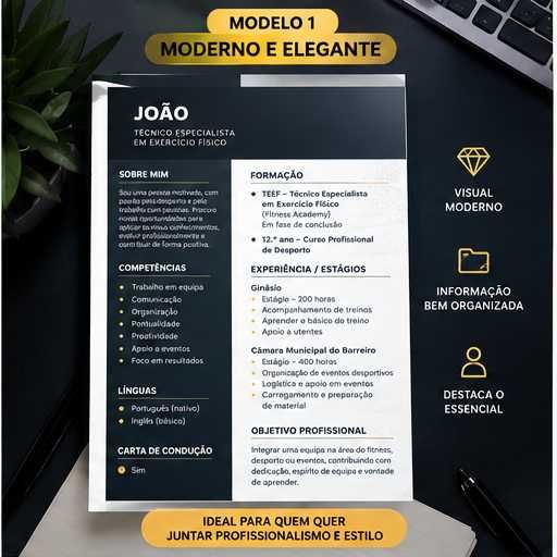 Criação de CV Profissional e Personalizado
