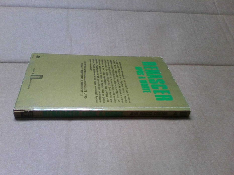 Renascer Após a Morte