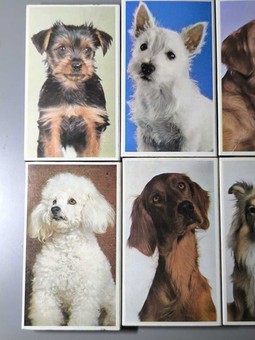 Coleção Completa Fósforos Tema Cães