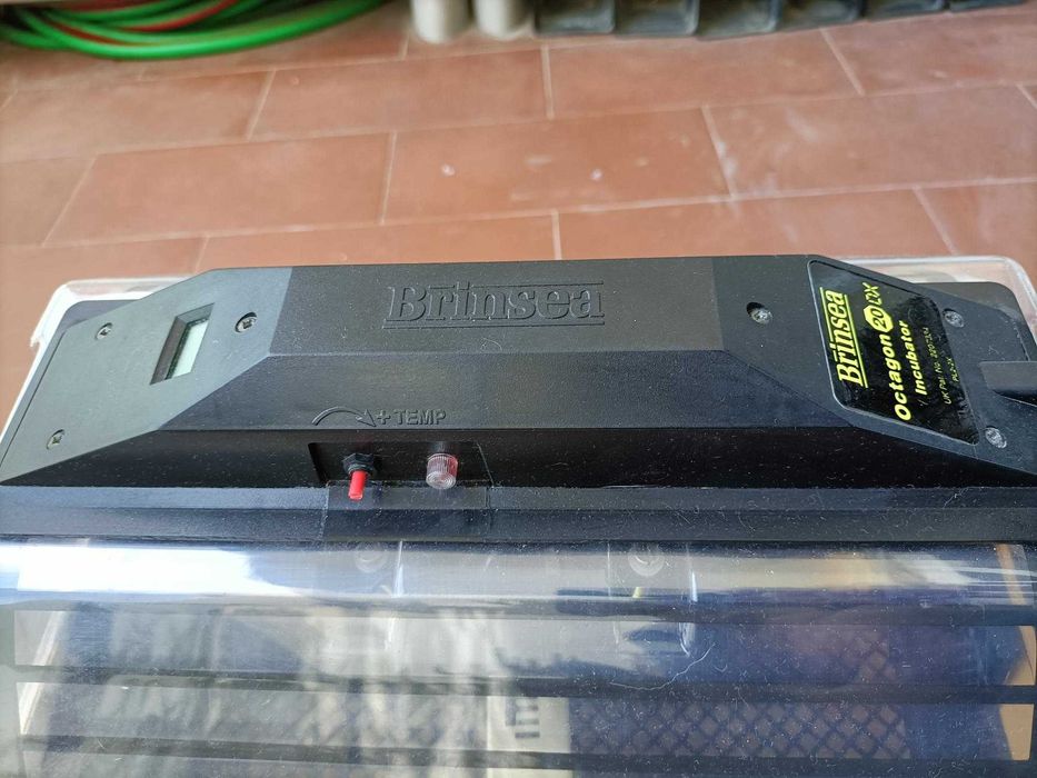 INCUBADORA Brinsea OCTAGON 20 Automatica 24 ovos. C/o nova