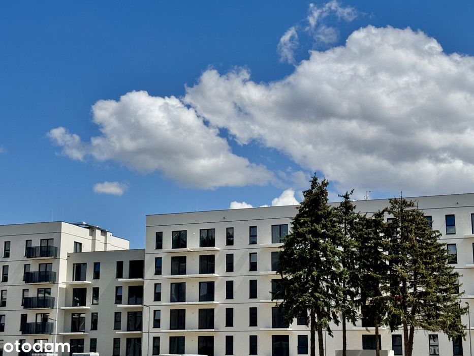 Nowe na już | Ogródek | Centrum | Galeria Olimp | Uczelnie | Sklepy