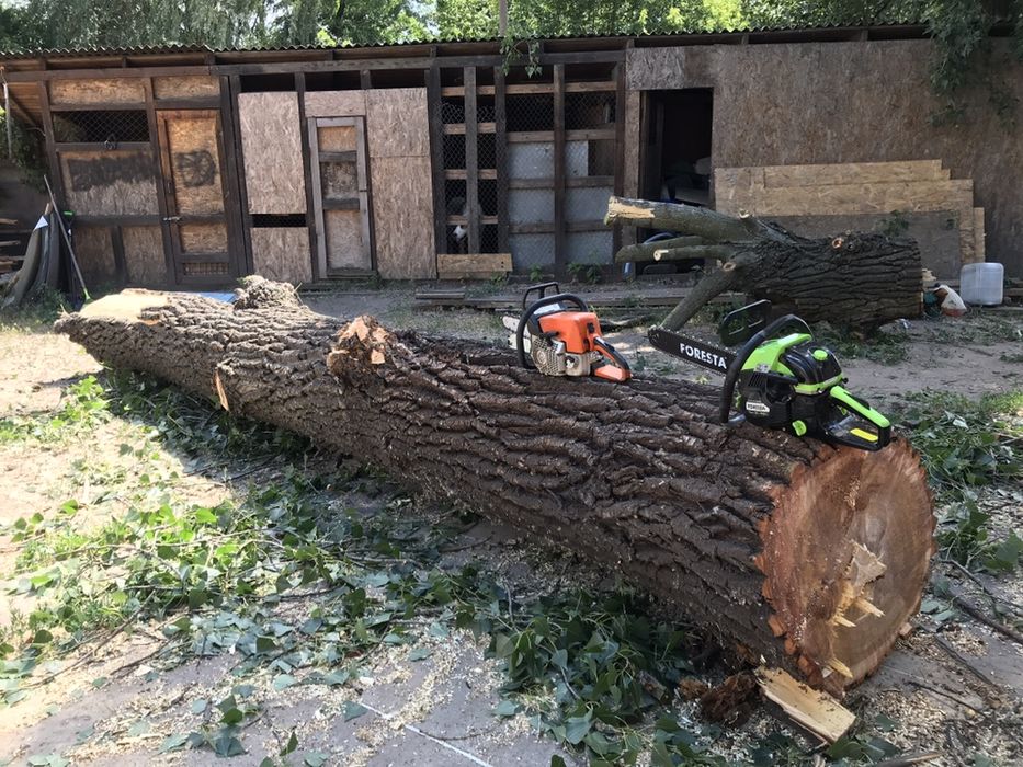 Валка деревьев, уборка территории, чистка и срез сосен