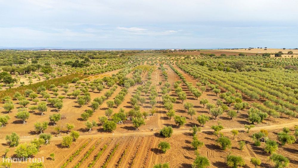 Terreno  para venda — Campo E Campinho, Évora