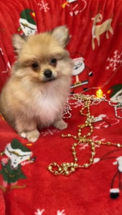 Чудо хлопчик для душі