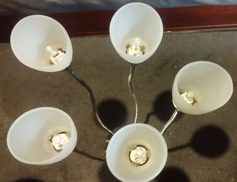 Candeeiro de teto Moderno com 5 Braços Flexíveis (Estilo Flor)