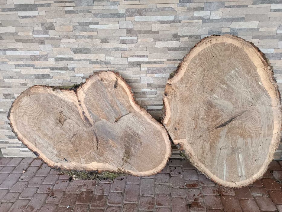 Sprzedam Plastry dębowe