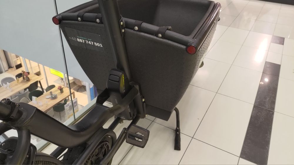 Rower cargo Urban Arrow Family Smart System | pasek Gates