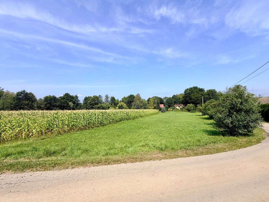 Działka Jasienica/ Łazy 12a dojazd asfaltowy, słoneczna i płaska - Widok 4