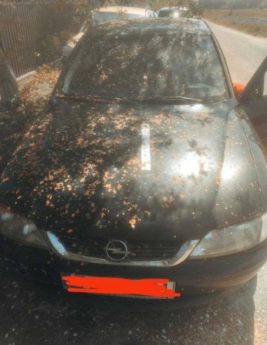 Разборка розборка Опель Вектра Б Opel Vektra B