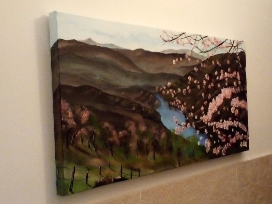 Quadro aguarela, 30*40 cm, Novo, óleo, acrilico