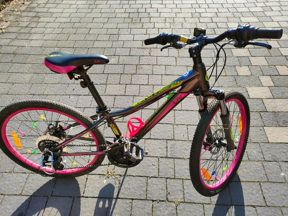 Rower 24 całe Kellys lev wyskoki model