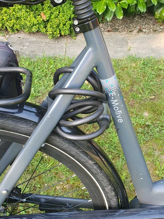 Rower elektrycznyAvalon E-Motive