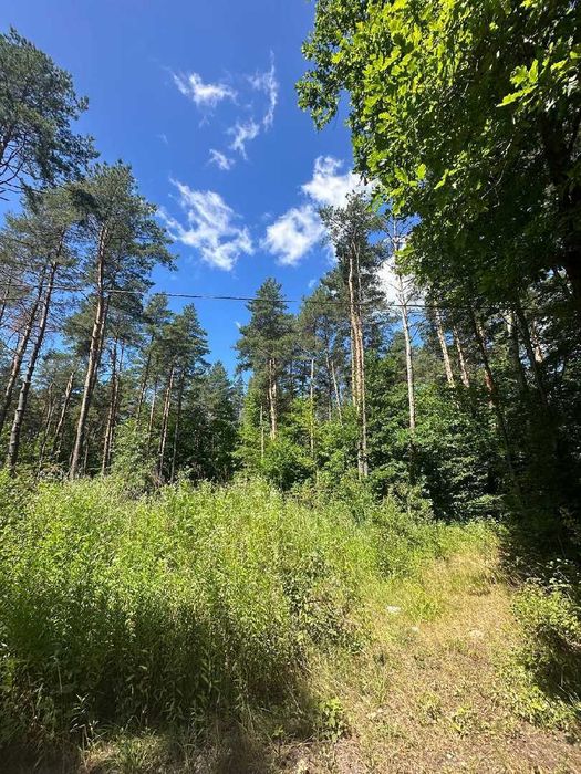 Продаж землі Брюховичі за вул. Незалежності України.Поруч ліс