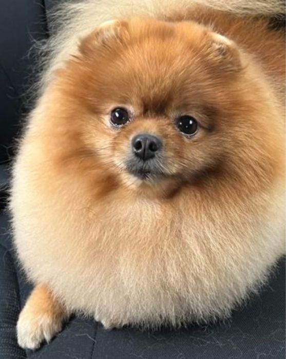 Прошу в дар бесплатно