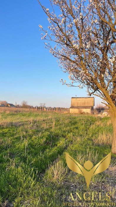 Продаж землі 75 соток приватизована с.Созонівка