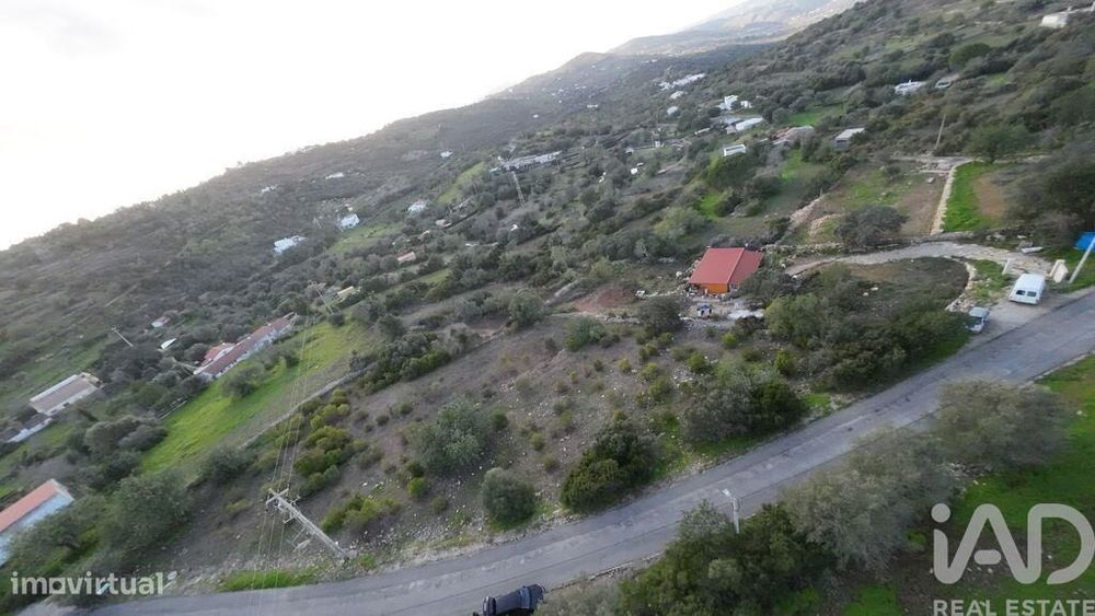 Terreno Agrícola em Conceição e Estoi