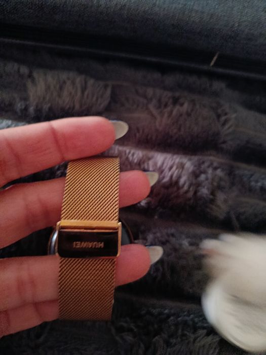 Smartwatch Huawei GT 2