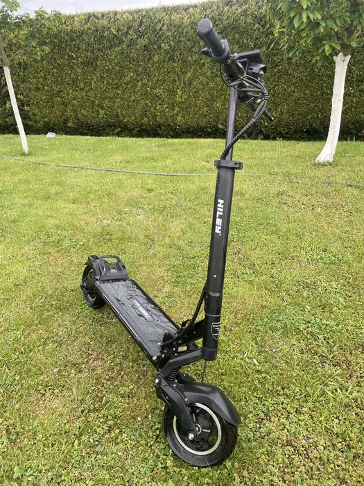 Hulajnoga Hiley tiger Max