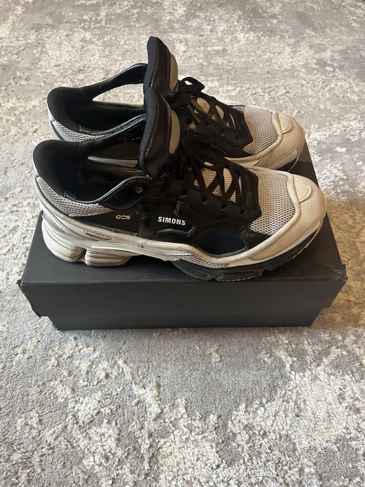 Raf simons replicant