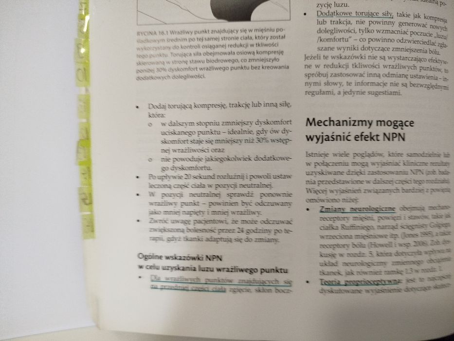 metody terapii manualnej w leczeniu dysfunkcji powięziowych