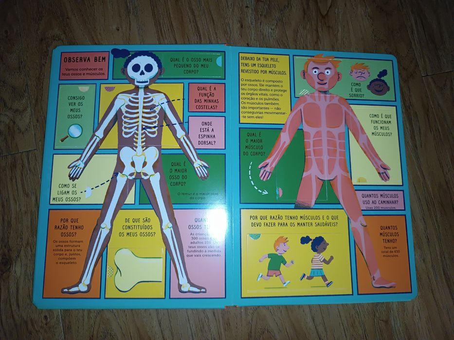 Livro o corpo humano