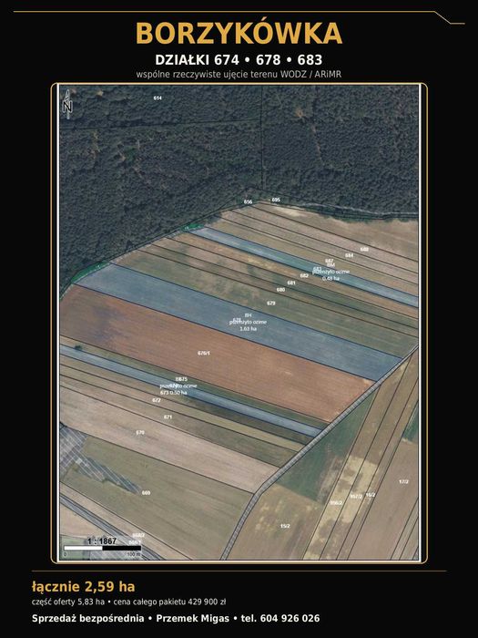BORZYKÓWKA — 5,83 ha — 429 900 zł