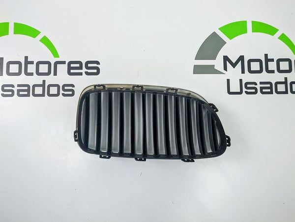 Grelha BMW Serie 5 Usada Original F10